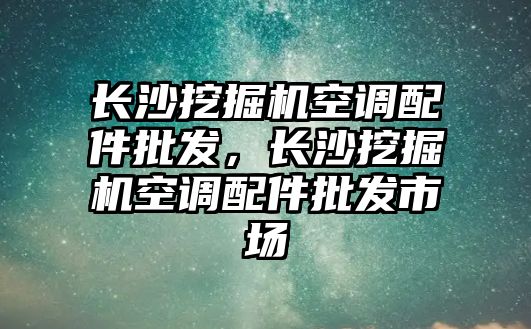 長沙挖掘機空調(diào)配件批發(fā)，長沙挖掘機空調(diào)配件批發(fā)市場