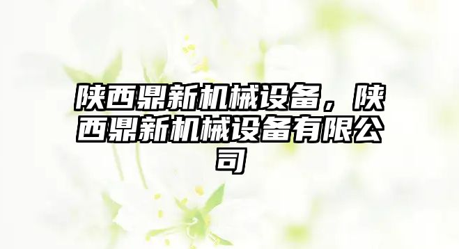 陜西鼎新機械設備，陜西鼎新機械設備有限公司