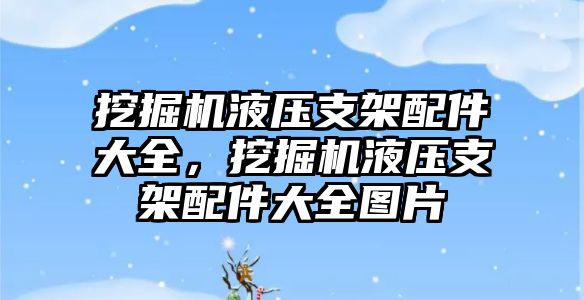 挖掘機液壓支架配件大全，挖掘機液壓支架配件大全圖片