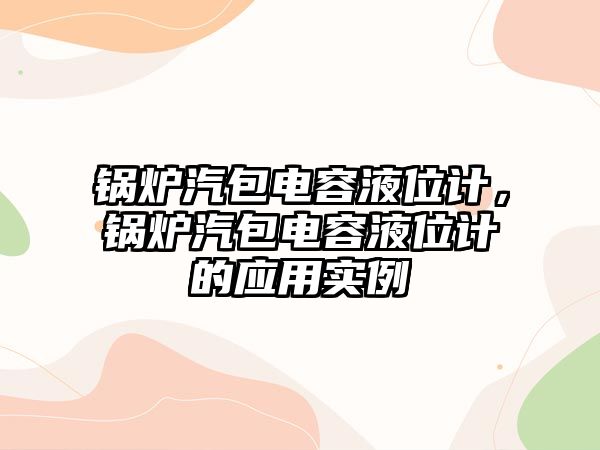 鍋爐汽包電容液位計，鍋爐汽包電容液位計的應用實例