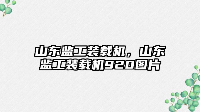 山東監工裝載機，山東監工裝載機920圖片