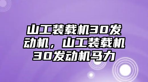 山工裝載機30發動機，山工裝載機30發動機馬力