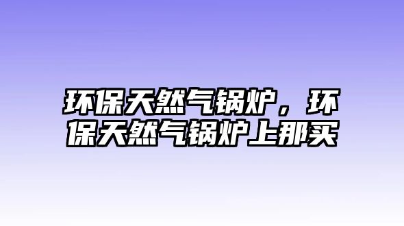 環保天然氣鍋爐，環保天然氣鍋爐上那買