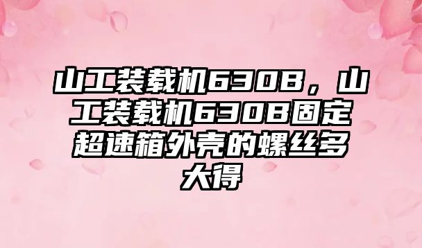 山工裝載機(jī)630B，山工裝載機(jī)630B固定超速箱外殼的螺絲多大得