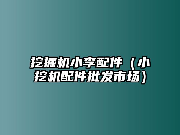 挖掘機小李配件（小挖機配件批發市場）