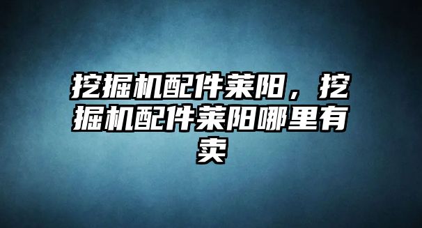 挖掘機配件萊陽，挖掘機配件萊陽哪里有賣