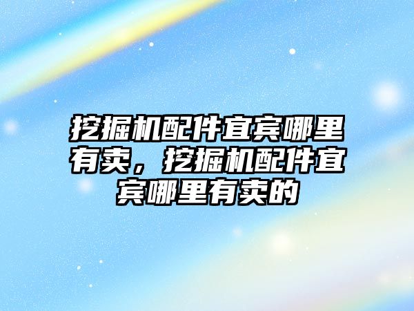 挖掘機配件宜賓哪里有賣，挖掘機配件宜賓哪里有賣的