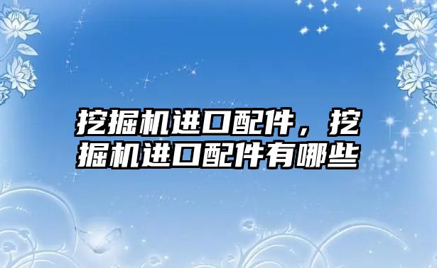 挖掘機進口配件，挖掘機進口配件有哪些