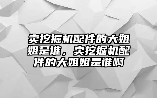 賣挖掘機配件的大姐姐是誰，賣挖掘機配件的大姐姐是誰啊