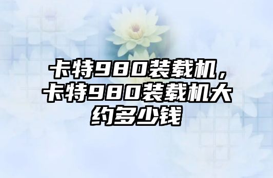 卡特980裝載機，卡特980裝載機大約多少錢