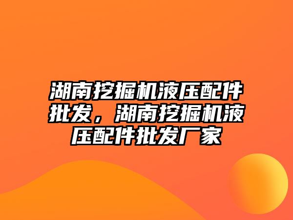 湖南挖掘機液壓配件批發，湖南挖掘機液壓配件批發廠家