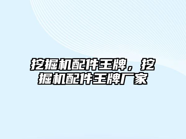 挖掘機配件王牌，挖掘機配件王牌廠家