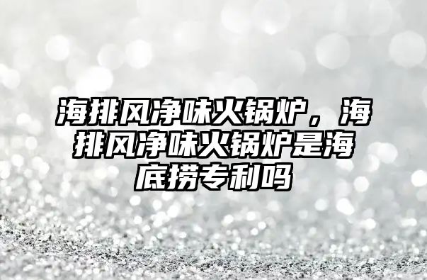 海排風凈味火鍋爐，海排風凈味火鍋爐是海底撈專利嗎