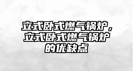 立式臥式燃?xì)忮仩t，立式臥式燃?xì)忮仩t的優(yōu)缺點(diǎn)