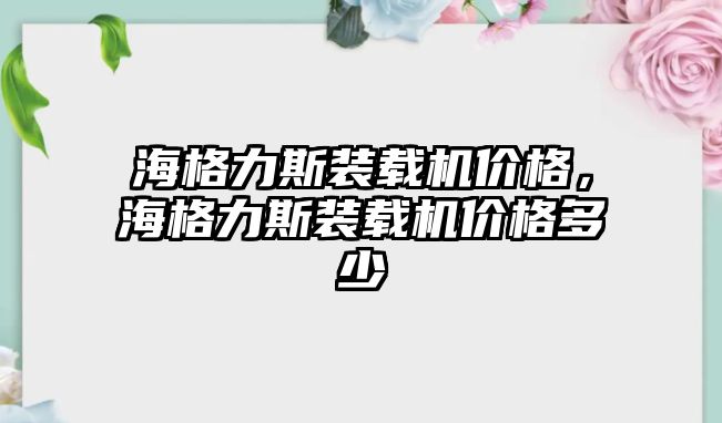 海格力斯裝載機(jī)價格，海格力斯裝載機(jī)價格多少