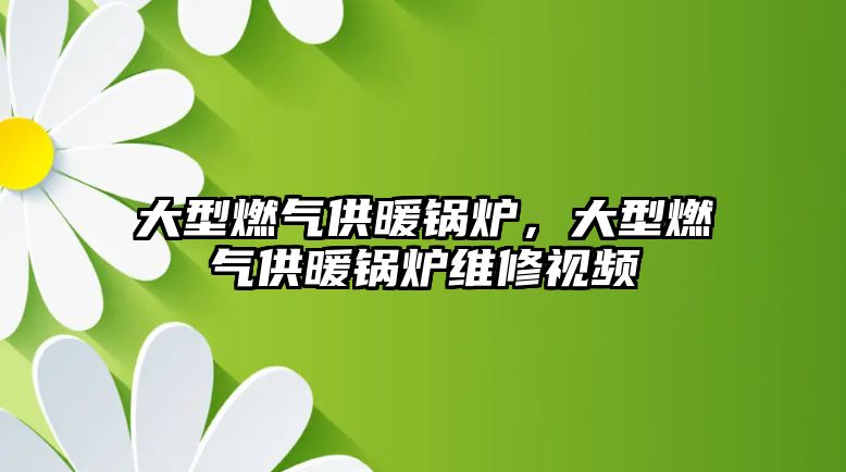 大型燃氣供暖鍋爐，大型燃氣供暖鍋爐維修視頻