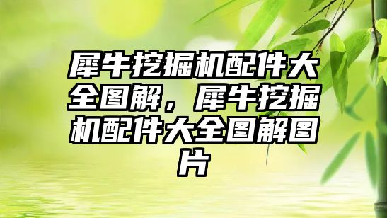 犀牛挖掘機配件大全圖解，犀牛挖掘機配件大全圖解圖片