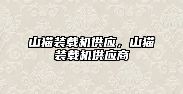 山貓裝載機供應(yīng)，山貓裝載機供應(yīng)商