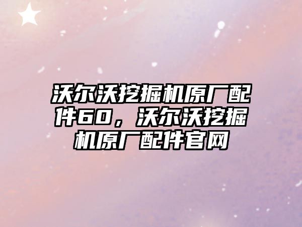 沃爾沃挖掘機原廠配件60，沃爾沃挖掘機原廠配件官網