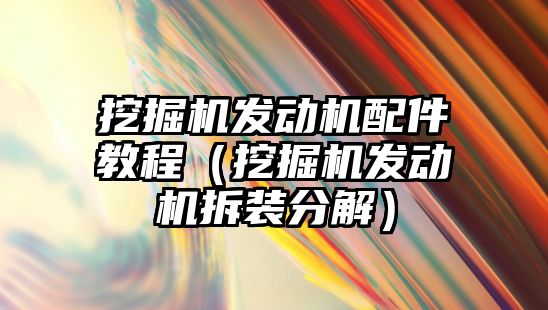 挖掘機發動機配件教程（挖掘機發動機拆裝分解）