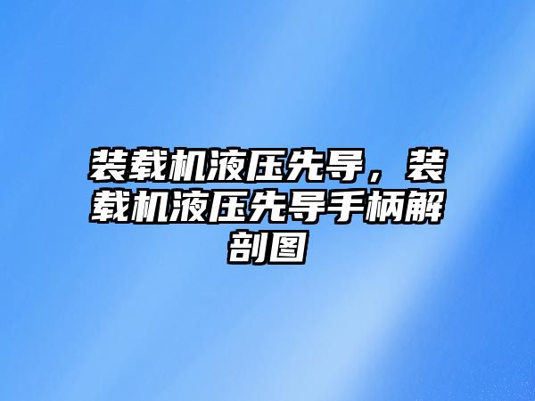 裝載機液壓先導，裝載機液壓先導手柄解剖圖