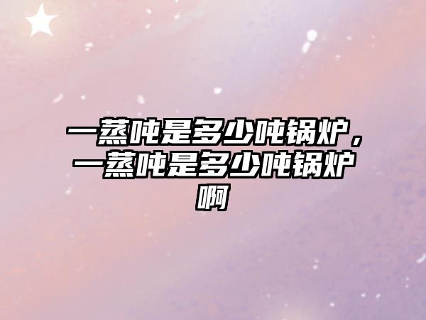 一蒸噸是多少?lài)嶅仩t，一蒸噸是多少?lài)嶅仩t啊