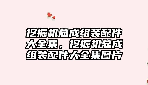 挖掘機總成組裝配件大全集，挖掘機總成組裝配件大全集圖片