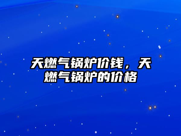 天燃?xì)忮仩t價錢，天燃?xì)忮仩t的價格