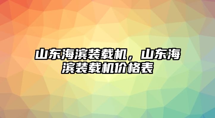 山東海濱裝載機，山東海濱裝載機價格表