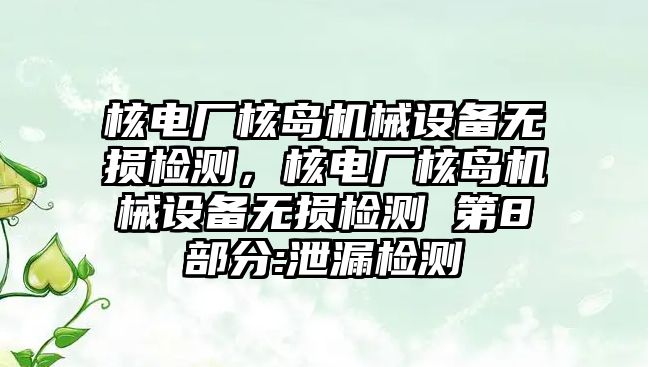 核電廠核島機械設備無損檢測，核電廠核島機械設備無損檢測 第8部分:泄漏檢測