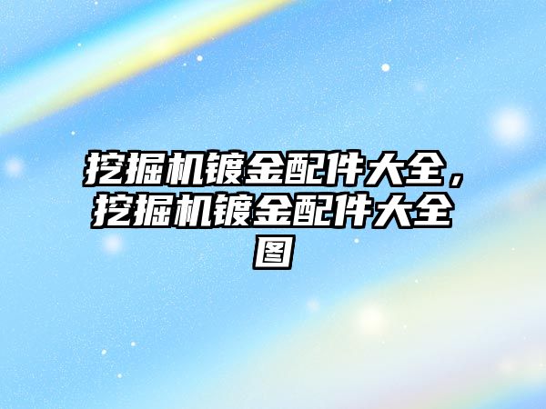 挖掘機鍍金配件大全，挖掘機鍍金配件大全圖