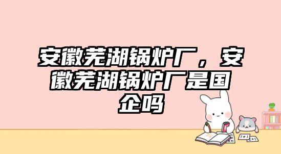 安徽蕪湖鍋爐廠，安徽蕪湖鍋爐廠是國企嗎