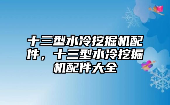 十三型水冷挖掘機(jī)配件，十三型水冷挖掘機(jī)配件大全