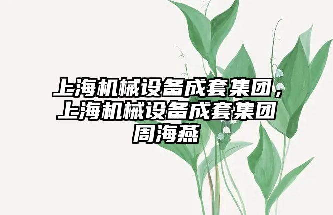 上海機械設備成套集團，上海機械設備成套集團周海燕