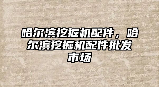 哈爾濱挖掘機配件，哈爾濱挖掘機配件批發市場