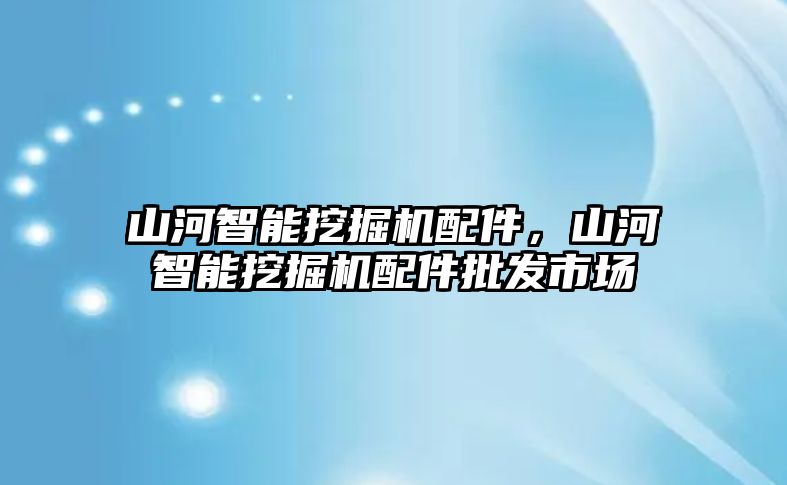 山河智能挖掘機配件，山河智能挖掘機配件批發(fā)市場