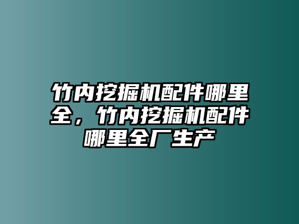 竹內挖掘機配件哪里全，竹內挖掘機配件哪里全廠生產