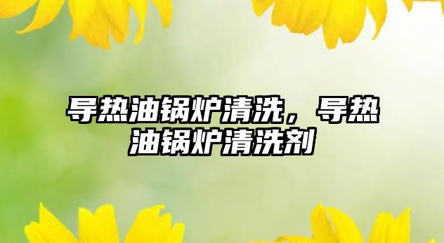 導熱油鍋爐清洗，導熱油鍋爐清洗劑