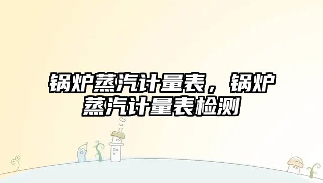 鍋爐蒸汽計量表，鍋爐蒸汽計量表檢測