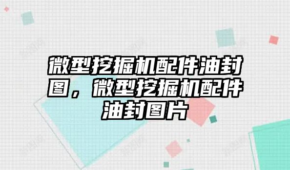 微型挖掘機配件油封圖，微型挖掘機配件油封圖片