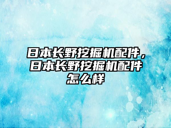 日本長野挖掘機配件，日本長野挖掘機配件怎么樣