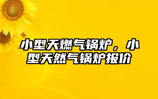 小型天燃氣鍋爐，小型天然氣鍋爐報價