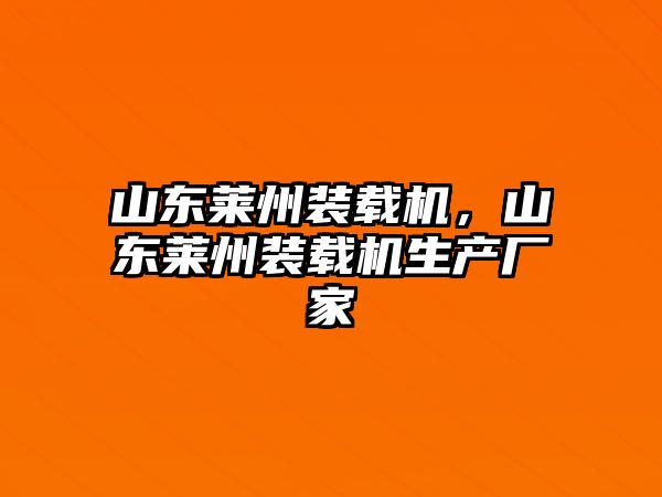 山東萊州裝載機，山東萊州裝載機生產廠家