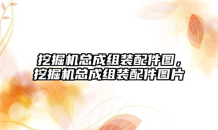 挖掘機總成組裝配件圖，挖掘機總成組裝配件圖片