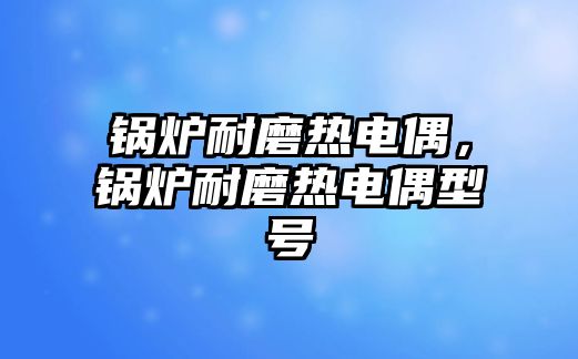 鍋爐耐磨熱電偶，鍋爐耐磨熱電偶型號(hào)