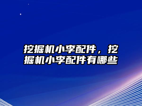 挖掘機小李配件，挖掘機小李配件有哪些