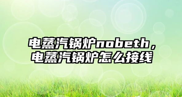 電蒸汽鍋爐nobeth，電蒸汽鍋爐怎么接線