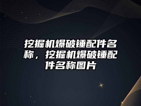 挖掘機爆破錘配件名稱，挖掘機爆破錘配件名稱圖片