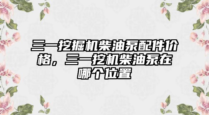 三一挖掘機柴油泵配件價格，三一挖機柴油泵在哪個位置