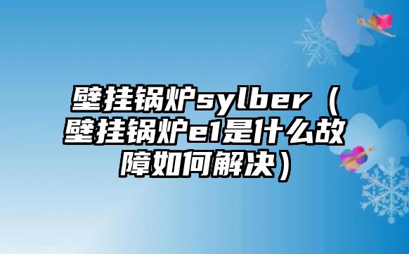 壁掛鍋爐sylber（壁掛鍋爐e1是什么故障如何解決）